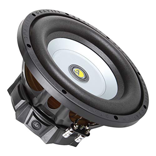 Gravity GR-10PW 10" Dual 4-Ohm Car Audio Subwoofer
