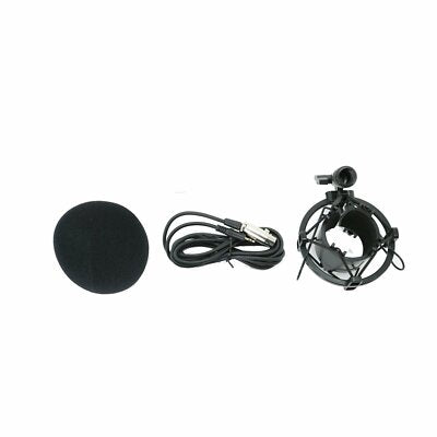 EMB Professional EMC920R Large-Diaphragm Condenser Microphone