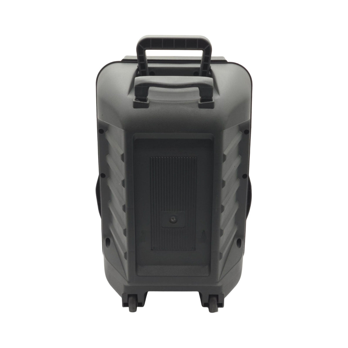 Emb PKL12BT 1000w 12" Trolley Speaker With AUX, Lights, FM, USB With Bluetooth