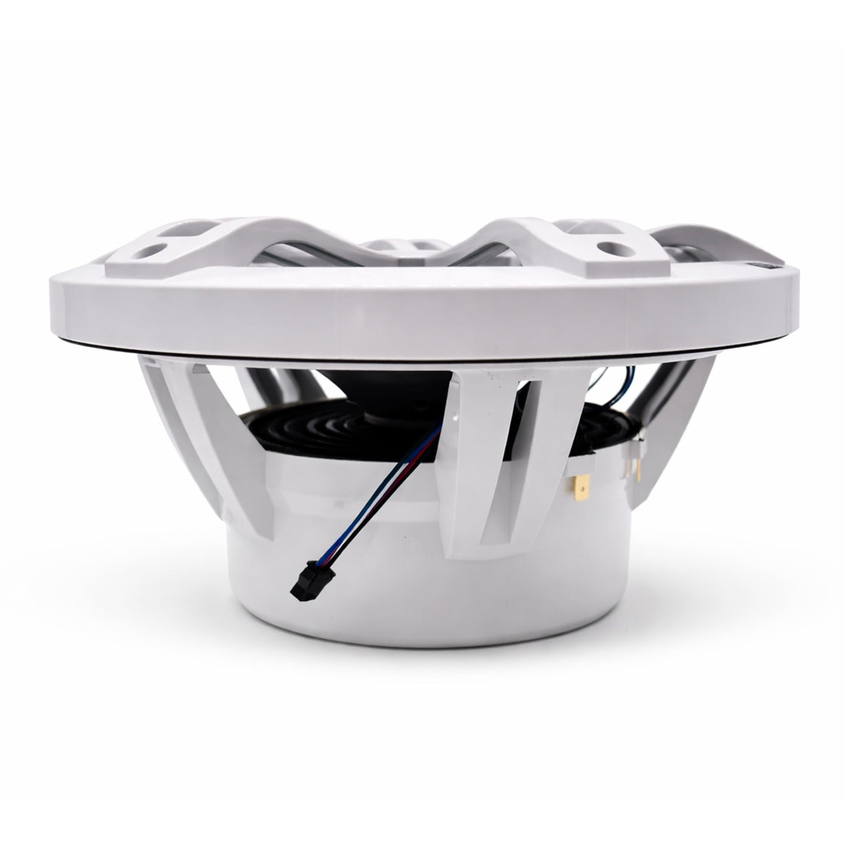 STX Audio STX10MSW 10" Marine Subwoofer