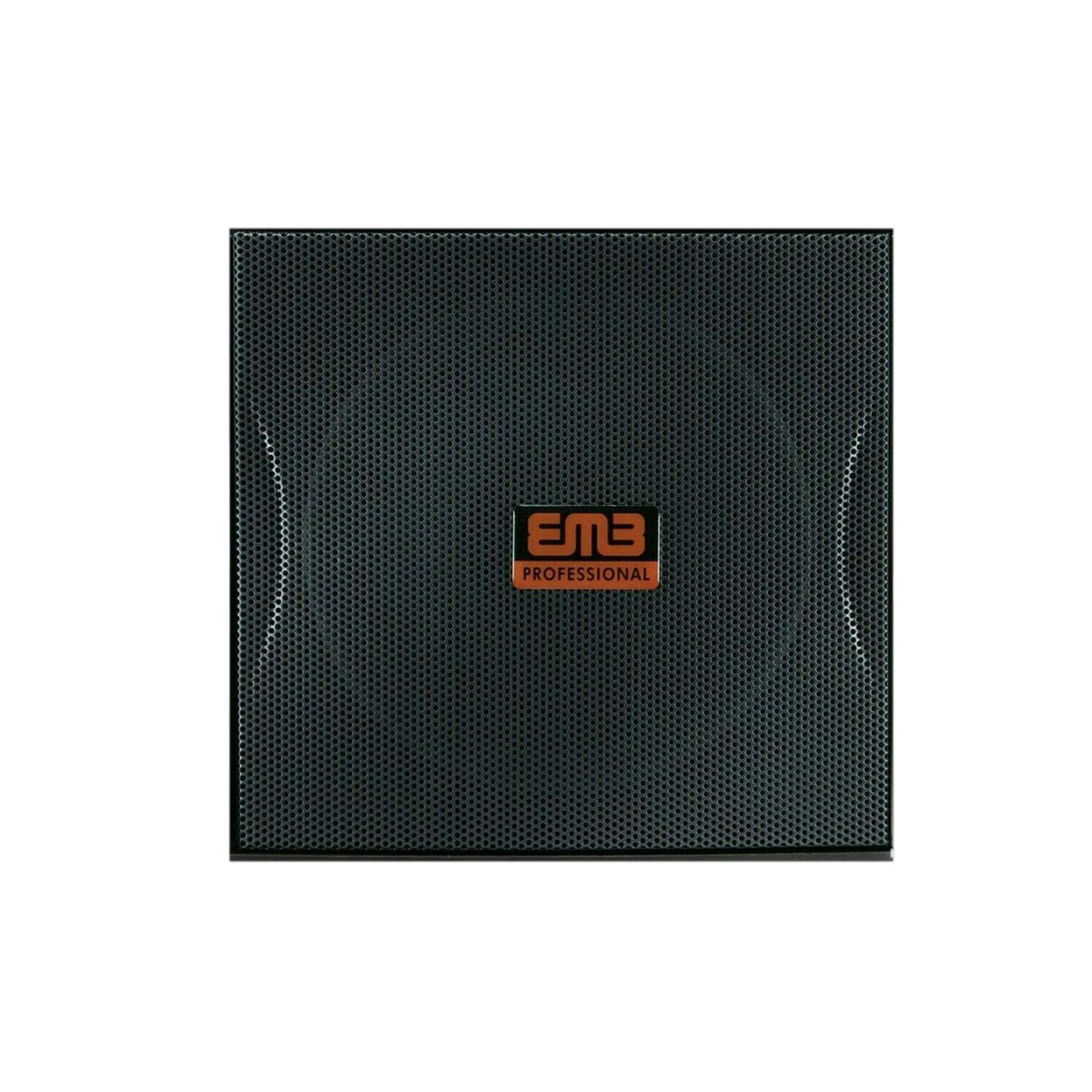 EMB KTV-800 10" 3-Way Karaoke Speaker Pair