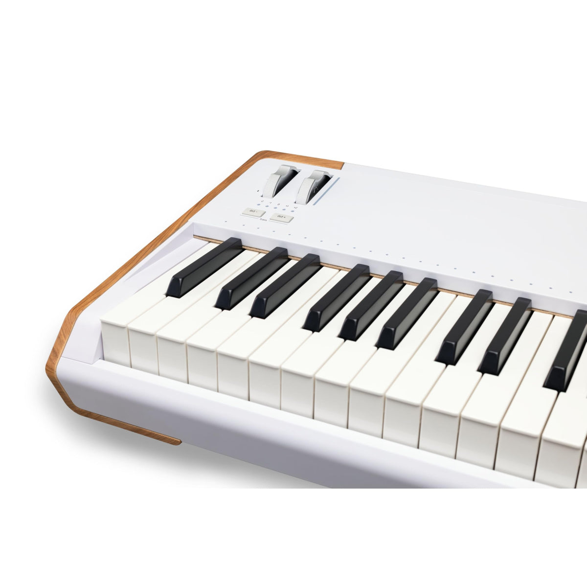 Arturia Astrolab Stage Keyboard (88 Key)