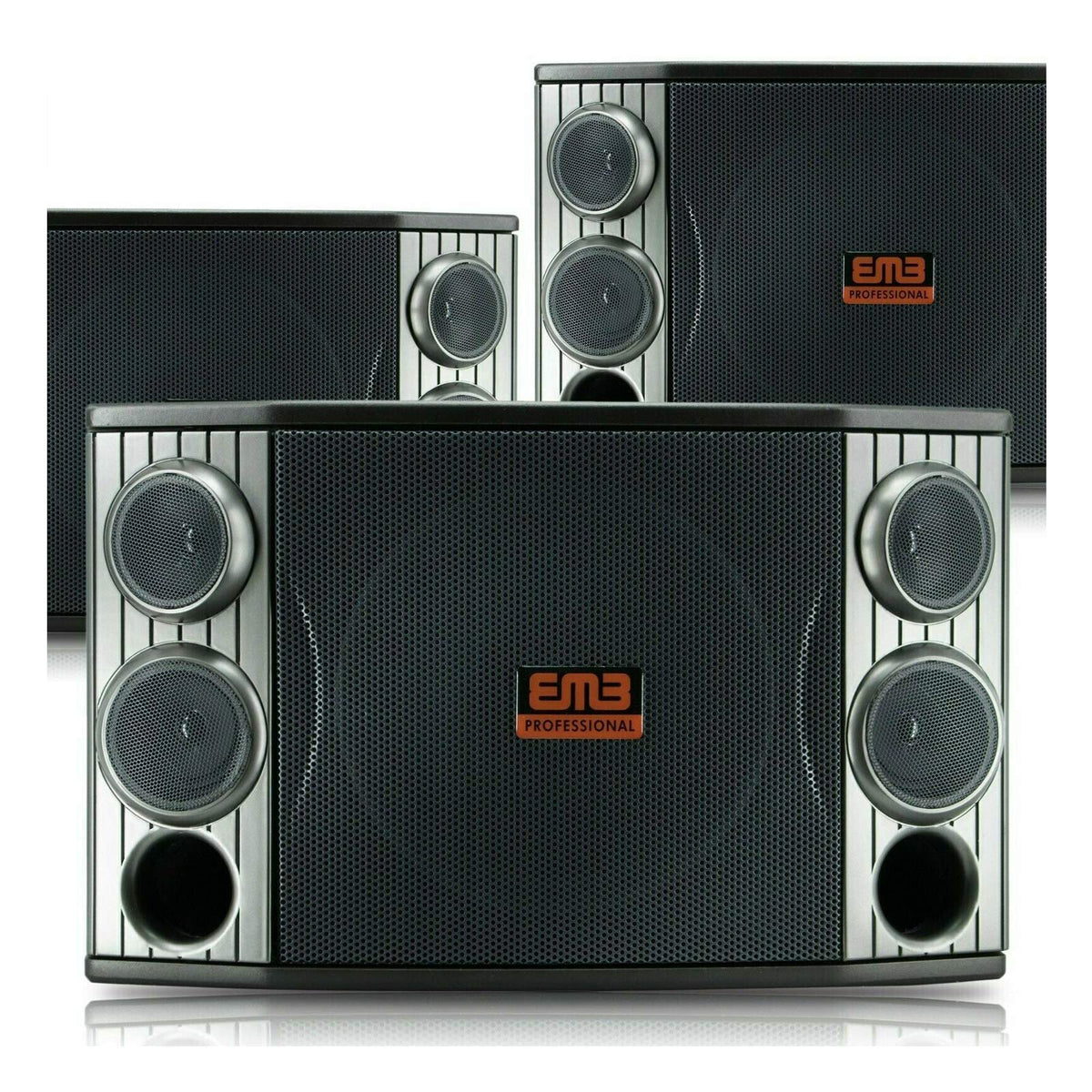 EMB KTV-800 10" 3-Way Karaoke Speaker Pair