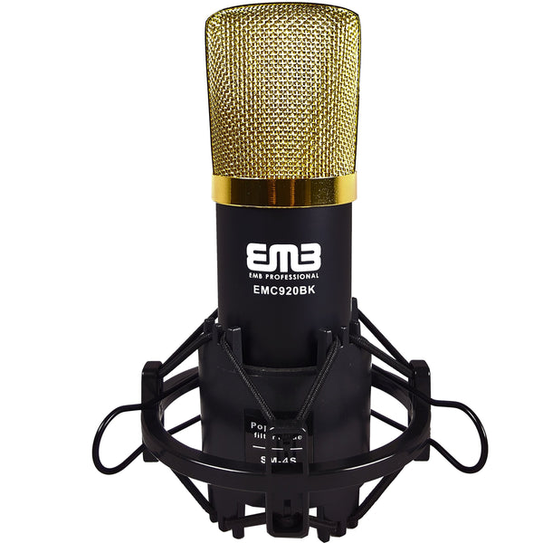 EMB Professional EMC930R Large-Diaphragm Condenser Microphone