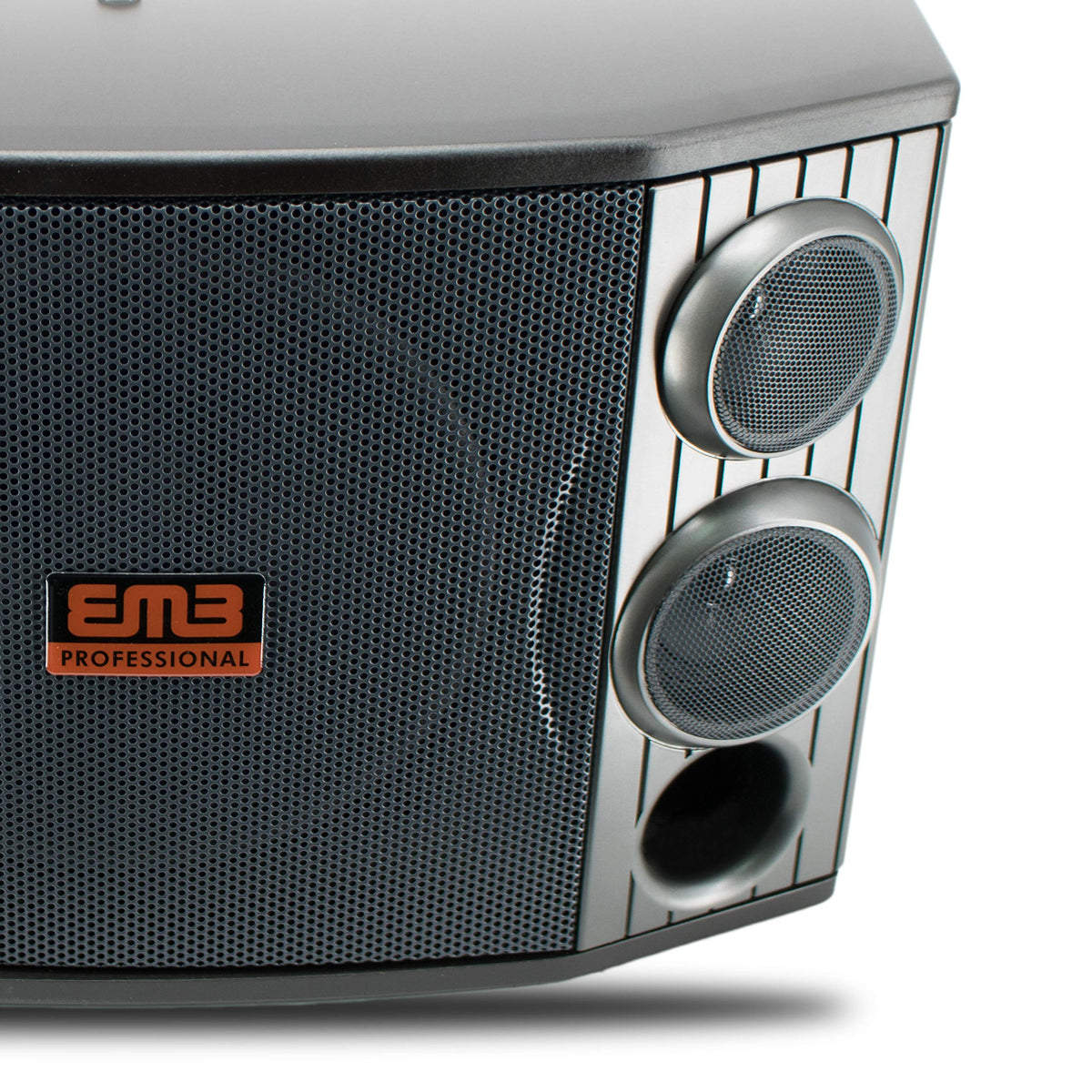 EMB KTV-800 10" 3-Way Karaoke Speaker Pair