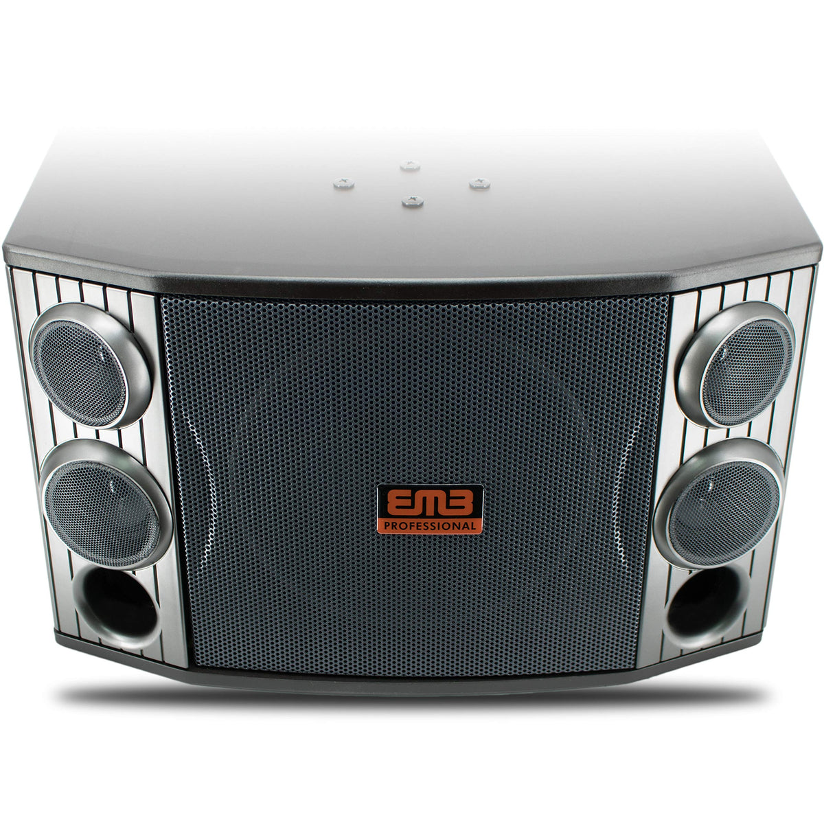 EMB KTV-800 10" 3-Way Karaoke Speaker Pair