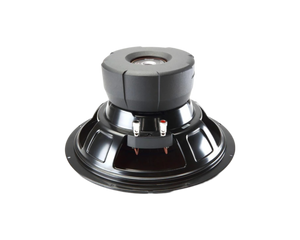 Pioneer TS-D12D4